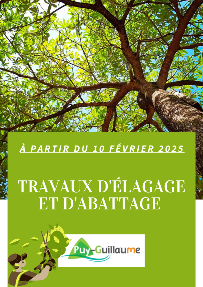 Coral Modern Lawn Care Flyer_20250205_120057_0000