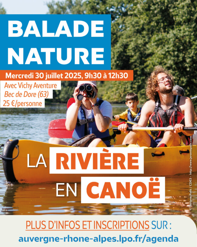 AnimationNature_BecDore_canoe