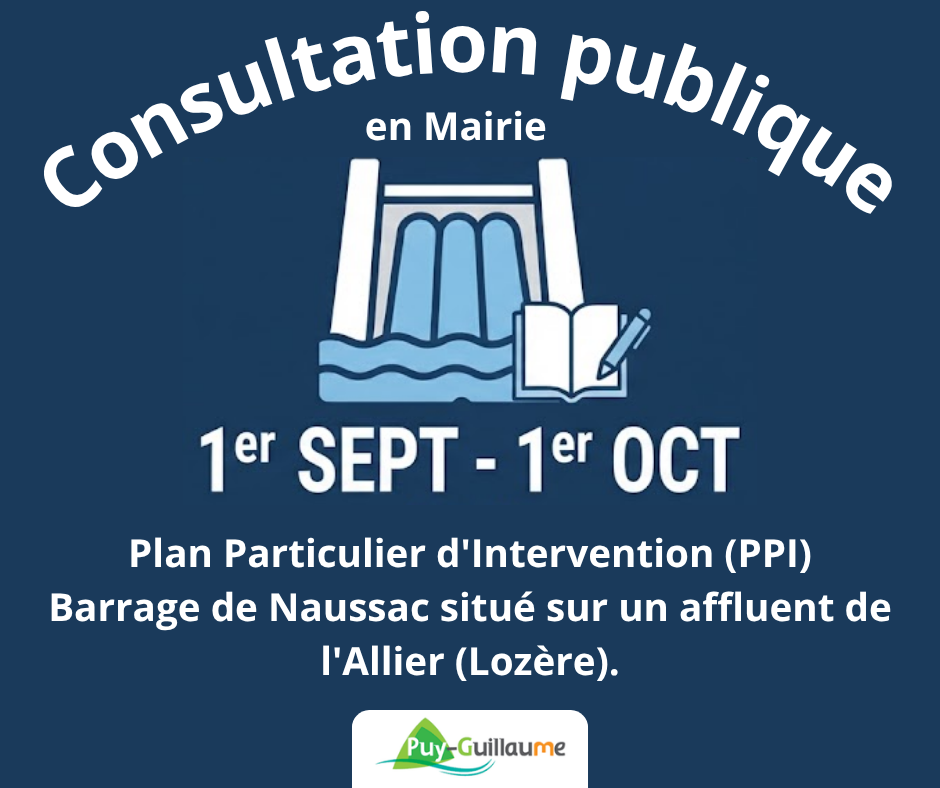 consultation publique